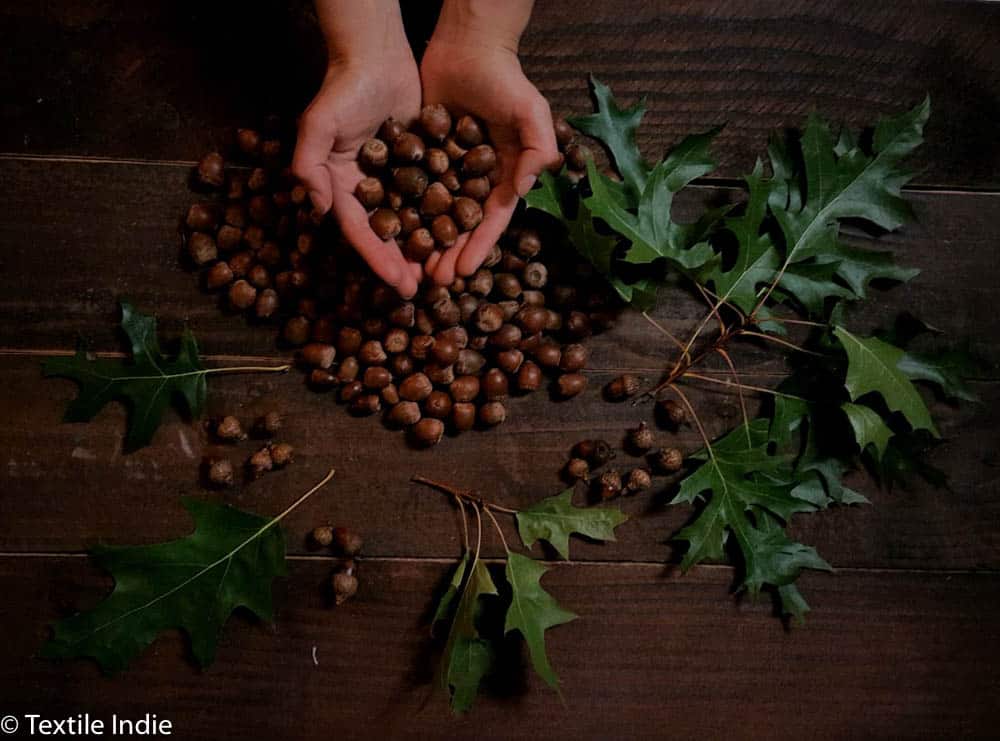 Acorns and leaves scattered across a wooden table, a woman's hands hold a pile of acorns