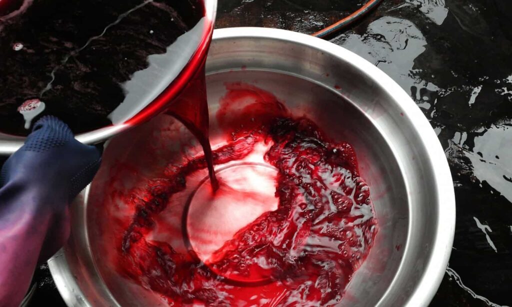 dye pot of cochineal dye