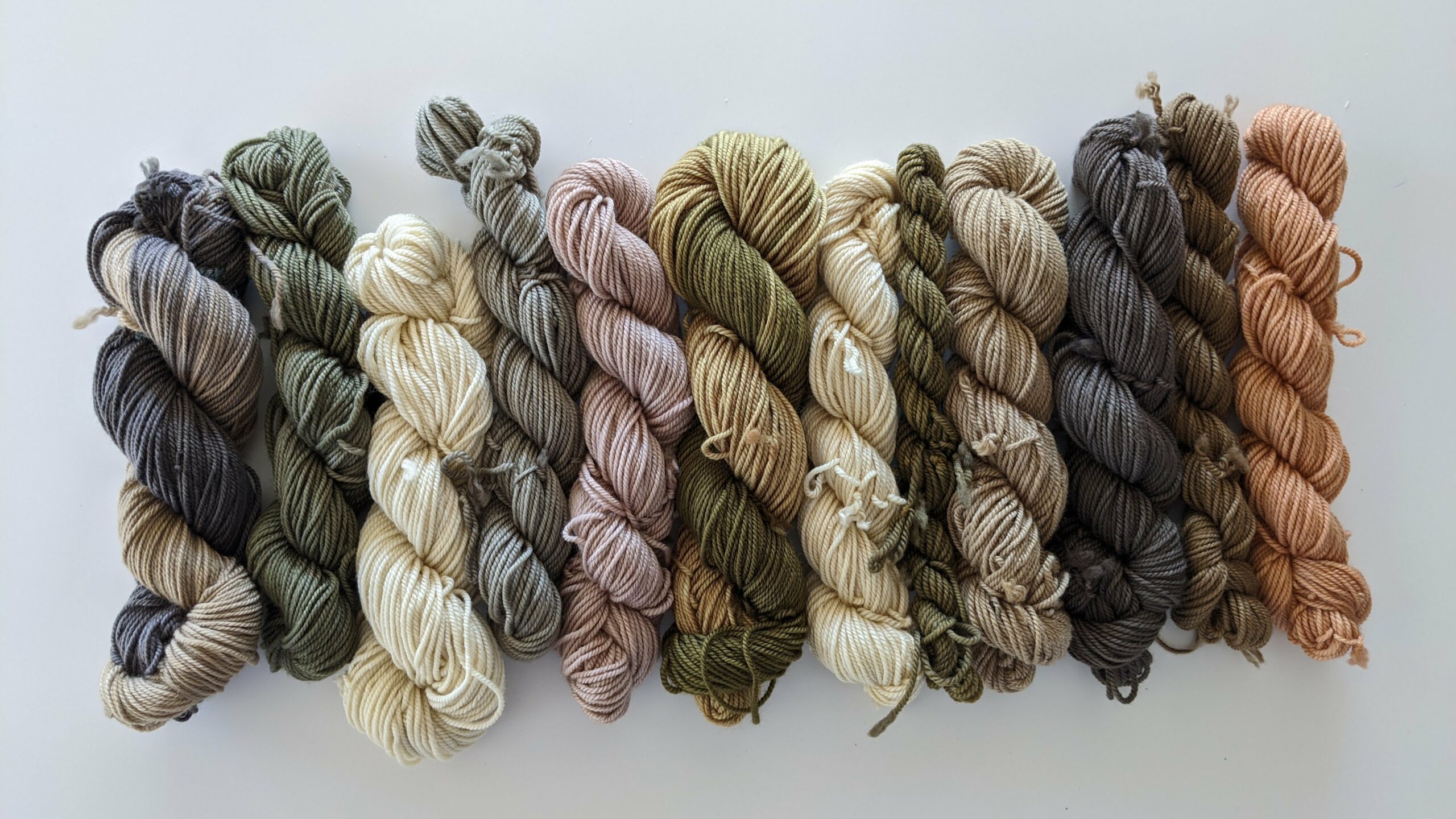 a beautiful row of naturally dyed yarns in muted pastel and earth tones