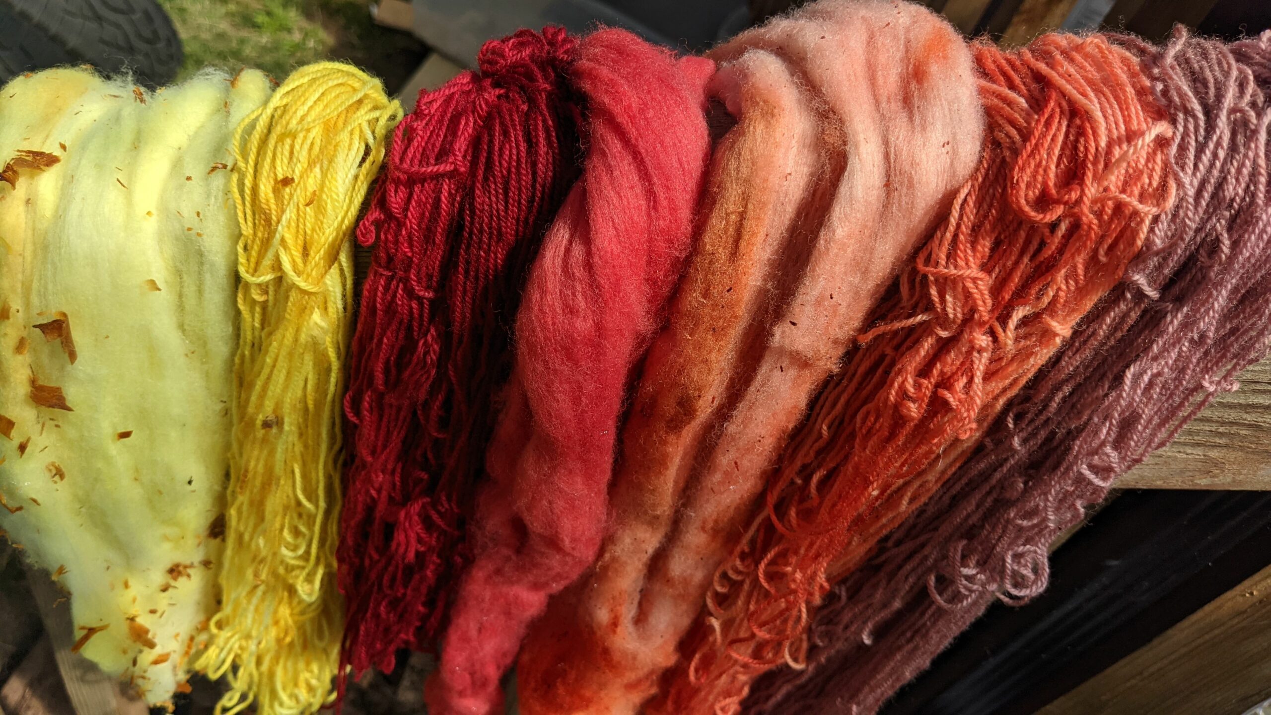 solar dyed wool and wool yarn