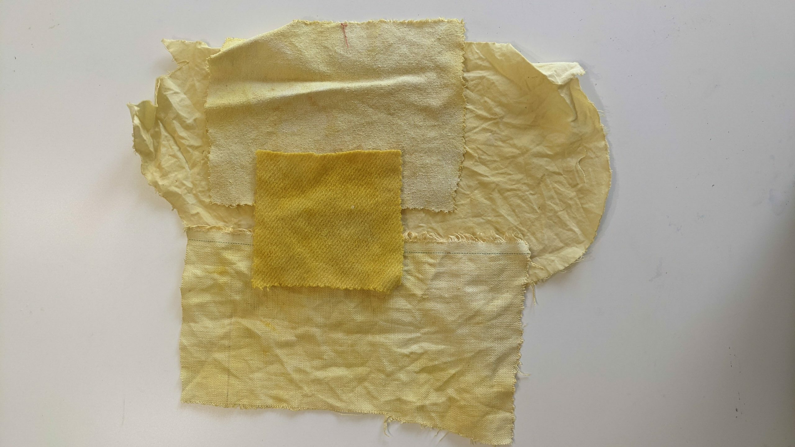 cream and yellow fabric samples - naturally dyed