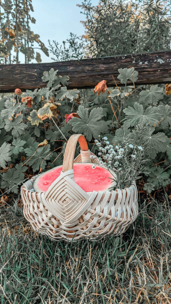 Basket Weaving Shears – Textile Indie