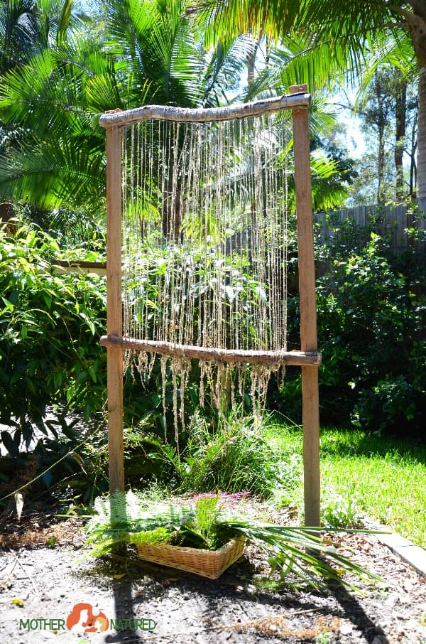 a large branch loom with yarn woven around, in an outdoor setting