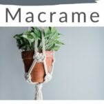 Green houseplant in a terracotta pot is supported by a cream macrame plant hanger