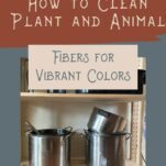 Pinterest pin about cleaning plant and animal fibers for dyeing